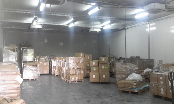 深港运输 深圳发货到香港的运输公司 - 外贸服