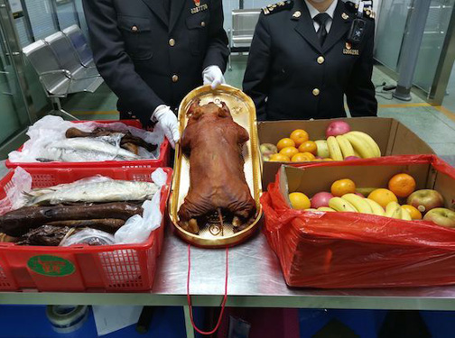 中港物流