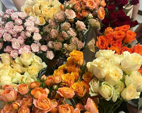 鲜花进口